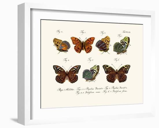 Butterflies, 1783-1806-null-Framed Giclee Print