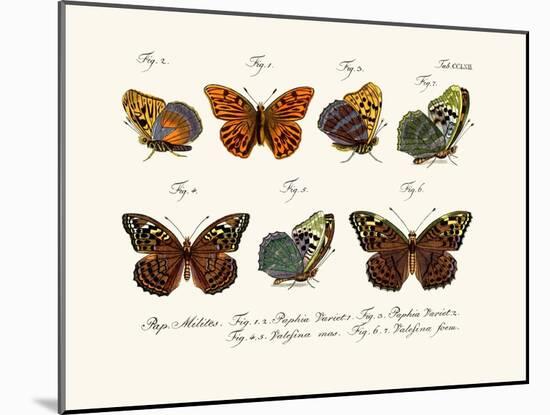 Butterflies, 1783-1806-null-Mounted Giclee Print