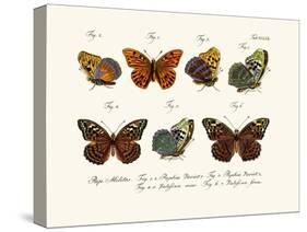 Butterflies, 1783-1806-null-Stretched Canvas