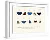 Butterflies, 1783-1806-null-Framed Giclee Print