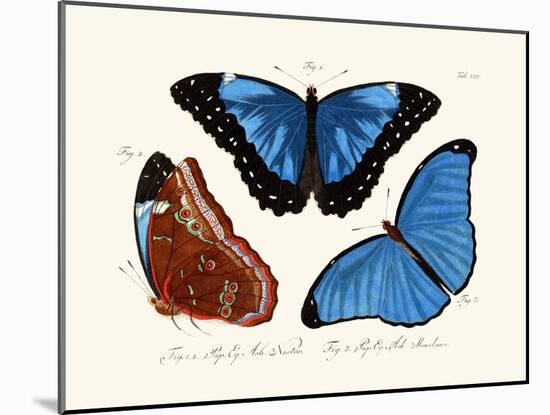 Butterflies, 1783-1806-null-Mounted Giclee Print