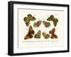 Butterflies, 1783-1806-null-Framed Giclee Print