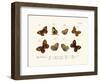 Butterflies, 1783-1806-null-Framed Giclee Print