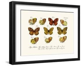 Butterflies, 1783-1806-null-Framed Giclee Print