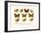 Butterflies, 1783-1806-null-Framed Giclee Print