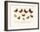 Butterflies, 1783-1806-null-Framed Giclee Print