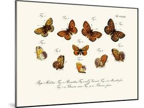 Butterflies, 1783-1806-null-Mounted Giclee Print