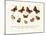 Butterflies, 1783-1806-null-Mounted Giclee Print