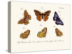 Butterflies, 1783-1806-null-Stretched Canvas