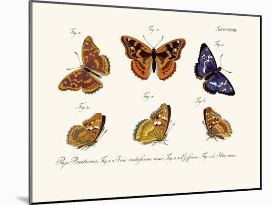 Butterflies, 1783-1806-null-Mounted Giclee Print