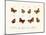 Butterflies, 1783-1806-null-Mounted Giclee Print