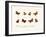 Butterflies, 1783-1806-null-Framed Giclee Print