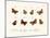 Butterflies, 1783-1806-null-Mounted Giclee Print