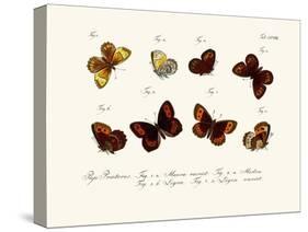 Butterflies, 1783-1806-null-Stretched Canvas