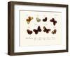 Butterflies, 1783-1806-null-Framed Giclee Print