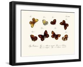 Butterflies, 1783-1806-null-Framed Giclee Print