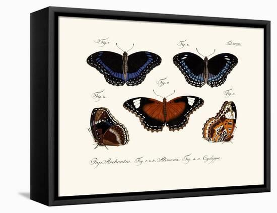 Butterflies, 1783-1806-null-Framed Stretched Canvas