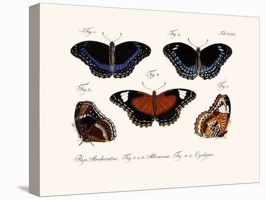 Butterflies, 1783-1806-null-Stretched Canvas