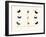 Butterflies, 1783-1806-null-Framed Giclee Print