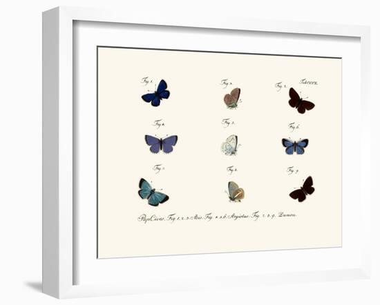 Butterflies, 1783-1806-null-Framed Giclee Print