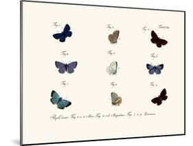 Butterflies, 1783-1806-null-Mounted Giclee Print