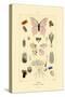 Butterflies, 1833-39-null-Stretched Canvas