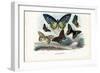 Butterflies, 1863-79-Raimundo Petraroja-Framed Giclee Print