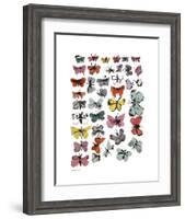 Butterflies, 1955 (Many/Varied Colors)-Andy Warhol-Framed Art Print