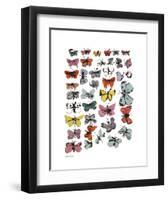 Butterflies, 1955 (Many/Varied Colors)-Andy Warhol-Framed Art Print