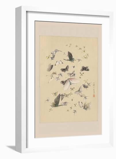 Butterflies 2-null-Framed Art Print