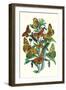 Butterflies: A. Dia, A. Lathonia-William Forsell Kirby-Framed Art Print