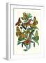 Butterflies: A. Dia, A. Lathonia-William Forsell Kirby-Framed Art Print