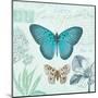 Butterflies and Botanicals 2-Christopher James-Mounted Art Print