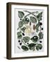 Butterflies and Chrysalis - Dess. by Maria Sibylla Merian, N.D., Approx. Late 18Th Century-Maria Sibylla Graff Merian-Framed Giclee Print