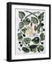 Butterflies and Chrysalis - Dess. by Maria Sibylla Merian, N.D., Approx. Late 18Th Century-Maria Sibylla Graff Merian-Framed Giclee Print