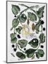 Butterflies and Chrysalis - Dess. by Maria Sibylla Merian, N.D., Approx. Late 18Th Century-Maria Sibylla Graff Merian-Mounted Giclee Print