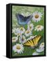 Butterflies and Daisies-Fred Szatkowski-Framed Stretched Canvas