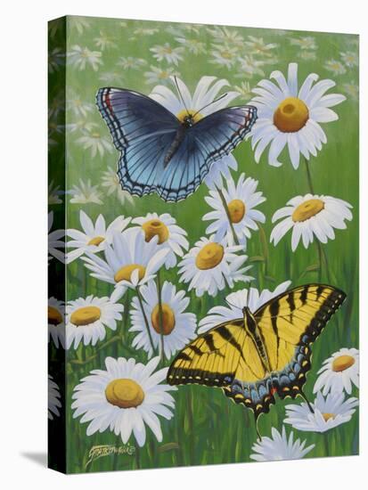 Butterflies and Daisies-Fred Szatkowski-Stretched Canvas