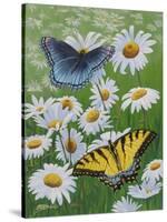 Butterflies and Daisies-Fred Szatkowski-Stretched Canvas