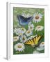 Butterflies and Daisies-Fred Szatkowski-Framed Art Print