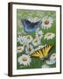 Butterflies and Daisies-Fred Szatkowski-Framed Art Print