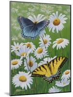 Butterflies and Daisies-Fred Szatkowski-Mounted Art Print