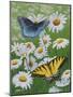 Butterflies and Daisies-Fred Szatkowski-Mounted Art Print