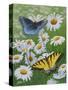 Butterflies and Daisies-Fred Szatkowski-Stretched Canvas