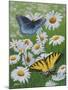 Butterflies and Daisies-Fred Szatkowski-Mounted Art Print