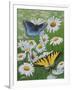 Butterflies and Daisies-Fred Szatkowski-Framed Art Print