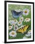 Butterflies and Daisies-Fred Szatkowski-Framed Art Print