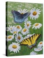 Butterflies and Daisies-Fred Szatkowski-Stretched Canvas