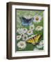 Butterflies and Daisies-Fred Szatkowski-Framed Art Print