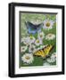 Butterflies and Daisies-Fred Szatkowski-Framed Art Print